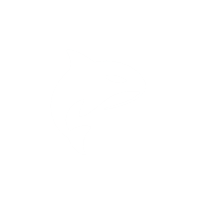 Orca Logo